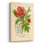 Art mural en verre acrylique épique 12 po x 16 po «Paeonia diriginalis» par Art Licensing Studio