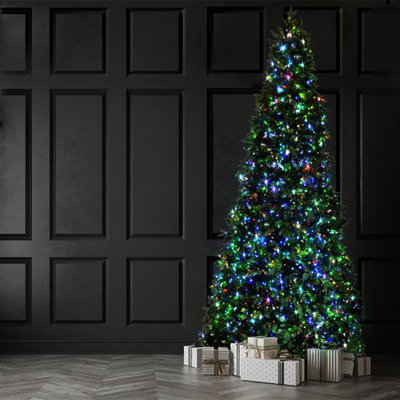 Lighted Christmas Tree