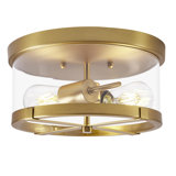 Alixandra 2-Light Flush Mount Clear Glass Ceiling Light with Metal Frame