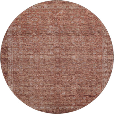 Premium Machine Washable Lubbers AMF1762 Border Rug