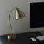 Ziemer Metal Desk Lamp
