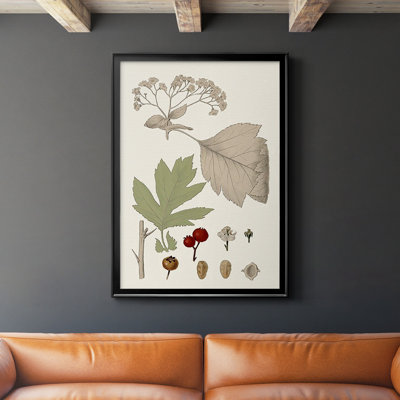 Feuilles et baies II sur papier