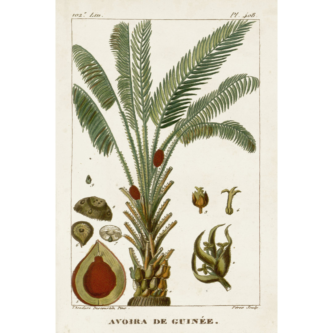 Exotic Palms VI by Turpin - Art Prints on Canvas