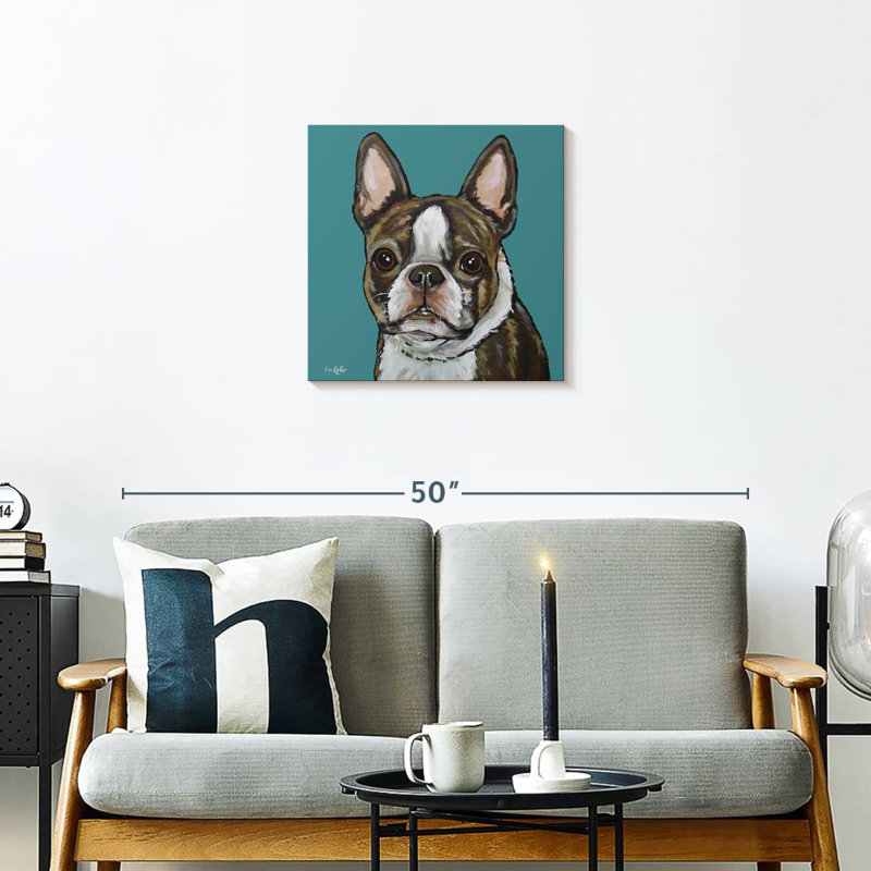 Brampt Sasha Boston Terrier sur sarcelle, H 20 po x l 20 po
