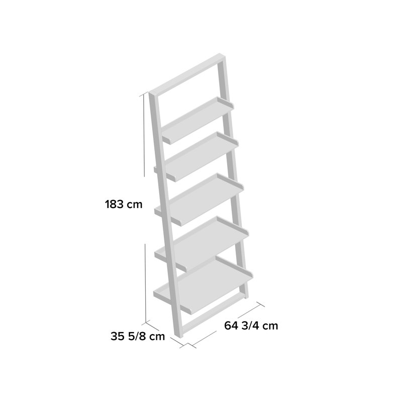 Albermarle 182.9cm H x 64.8cm W Ladder Bookcase