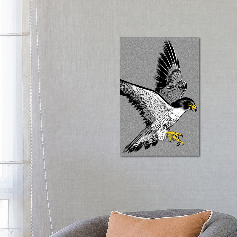 Hawk Sketch by Alberto Perez - Wrapped Canvas Print, 66.04 cm H x 45.72 cm W