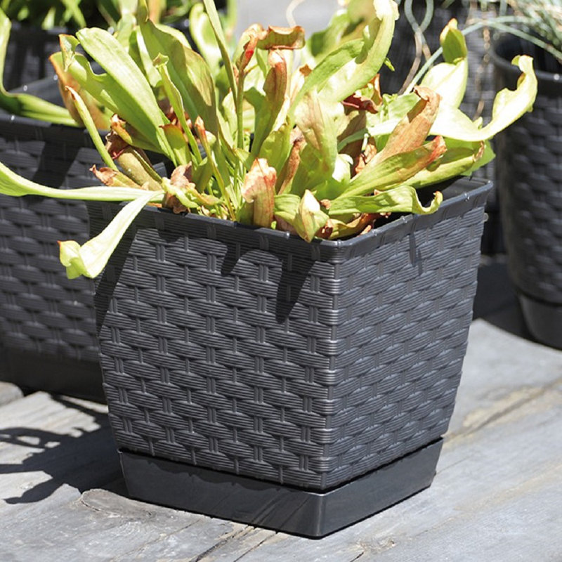 Petty Pot Planter, 13 cm H x 15 cm W x 15 cm D, Anthracite