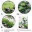 Countryside Solitaire Countryside I, reproduction d'art sur toile-1087609285-1087609289