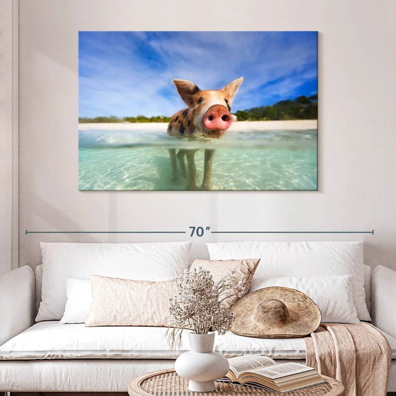 Brampt Cochon à Exuma, Bahamas, H 32 po x l 48 po