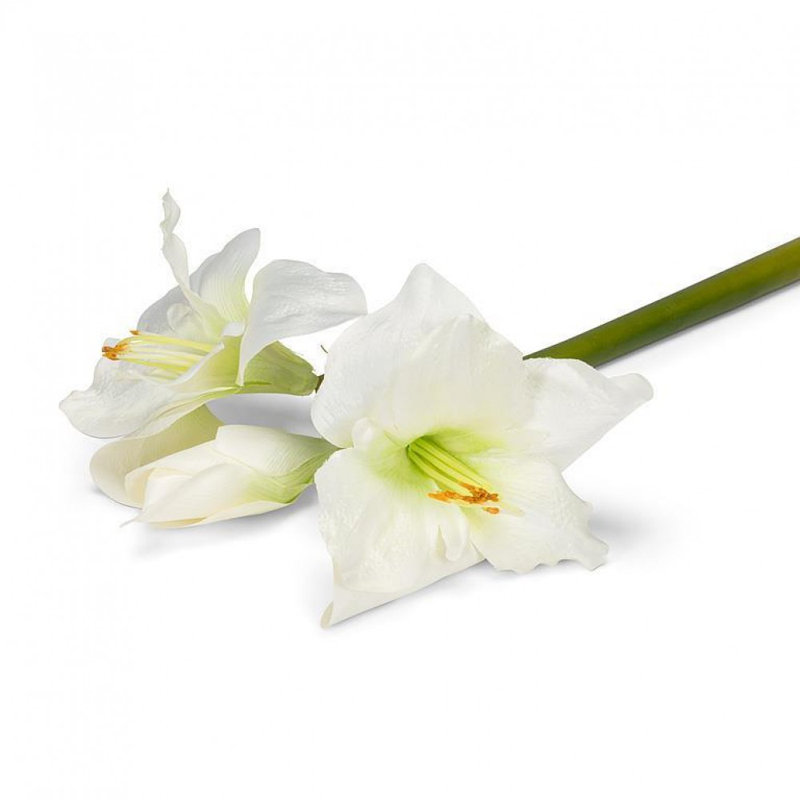 Amaryllis avec 3 fleurs artificielles, Blanc