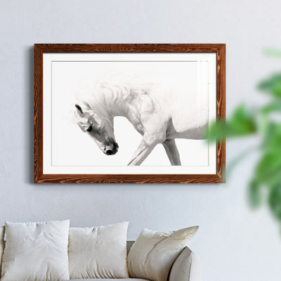 Neutral Stallion - Photographie avec cadre photo