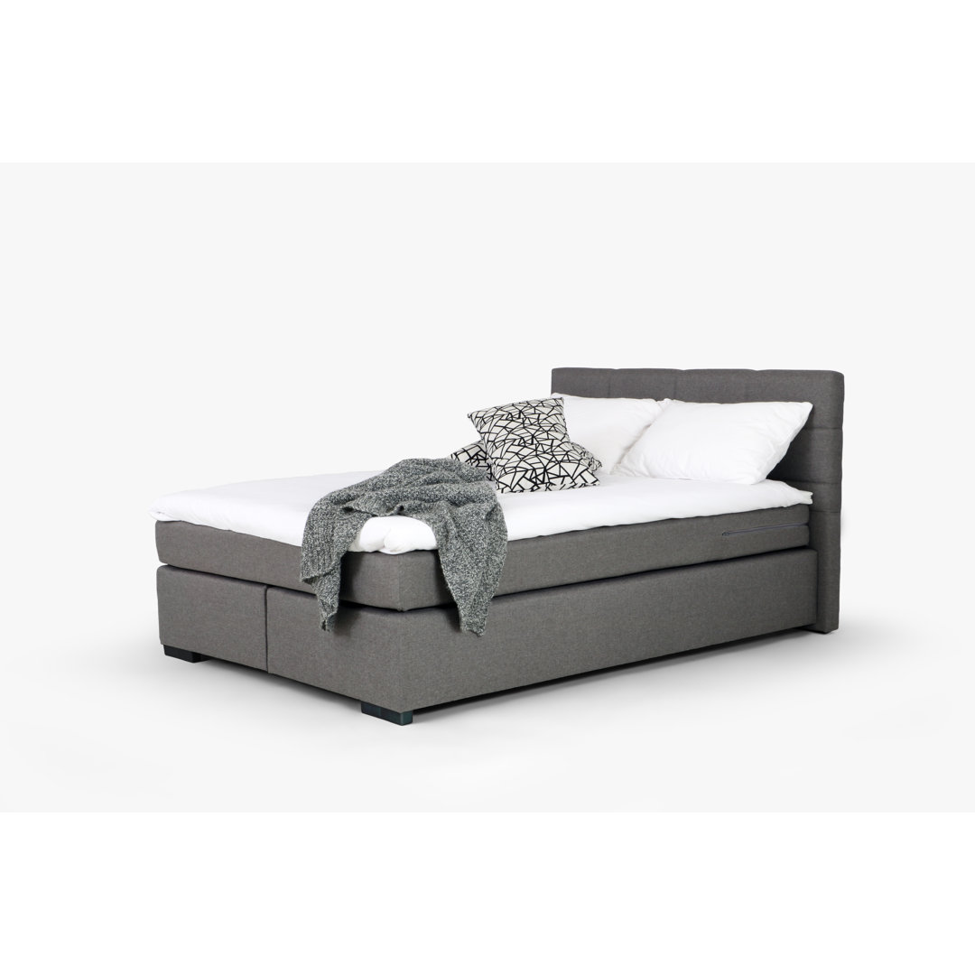 Boxspringbett Beast mit Topper