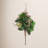 Foam Berry Arrangement