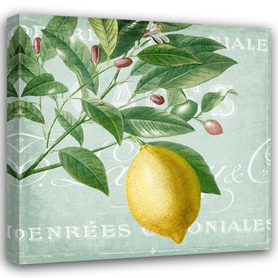  Allen, Kimberly Gallery Wrapped Canvas Art Titled: Lemon Drop 1