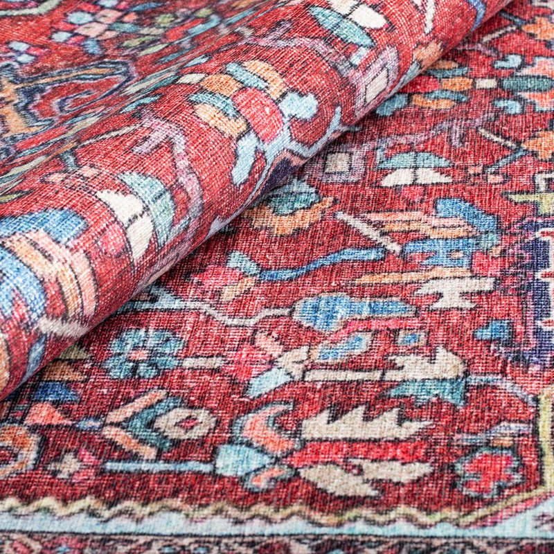 Premium Machine Washable Carpet, 4.6 x 6.2 Feet, 100% Polyester, 1850 g/m² | Pile Height: 0.2 Inches | Eco-Friendly Recycled Poly Cotton Underside | Perfect for Living Room, Bedroom, and High-Traffic Areas