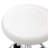 Salon Backed Adjustable Height Lab Stool Wheels-1635199110