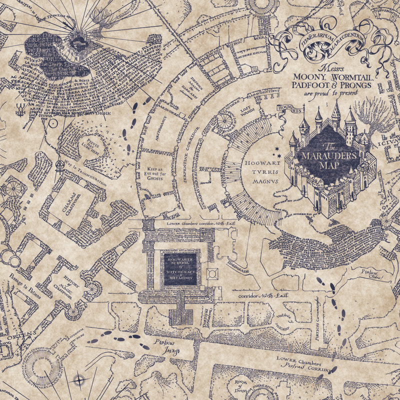 Rouleau de papier peint autocollant L 18,86 pi x l 18 po Harry Potter, Bleu