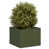 Olive Green selected