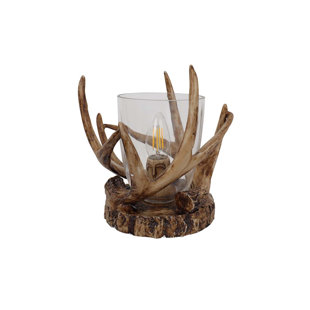 Novelty Lamp