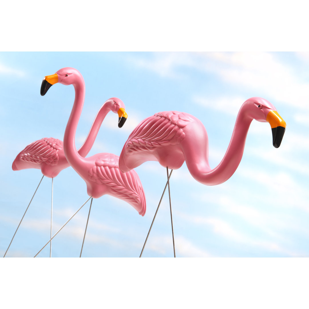 Drei rosa Plastik-Rasenflamingos von DNY - Leinwandbild