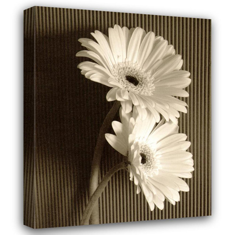 Fresh Cut Gerbera Daisy I, 24" H x 19" W