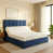 Plush Blue