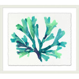 Transparaent Sea Life 3 Print