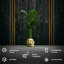 Handmade Pot Planter-52454985