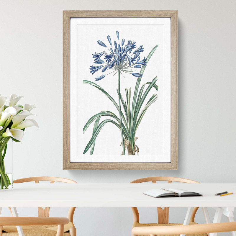 African Lily Flowers by Pierre-Joseph Redoute - Framed Print, Oak Framed, 33cm H x 24cm W x 2cm D