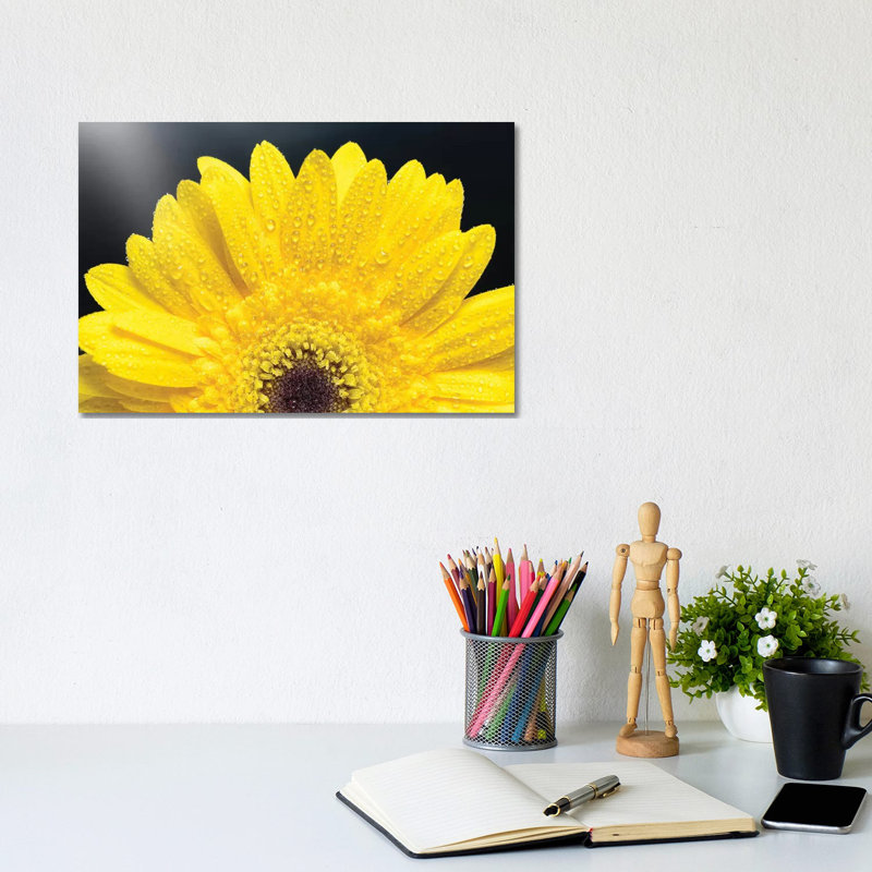 Yellow Gerber Daisy by Glauco Meneghelli - Wrapped Canvas Print, 20.32cm H x 30.48cm W x 1.905cm D