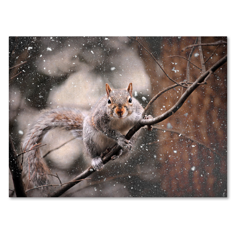 «Snow Day Squirrel», reproduction de photo sur toile tendue Vidur, H 14 po x l 19 po