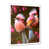 Cadre photo blanc