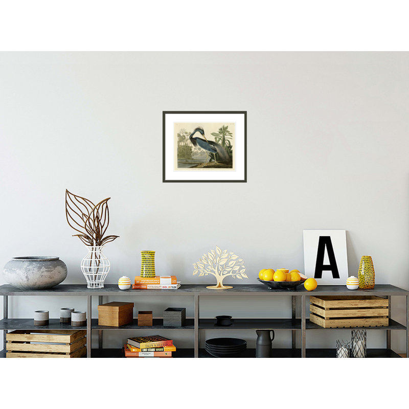 «Louisiana Heron» par John James Audubon, impression giclée encadrée, H 17,75 po x l 20,95 po