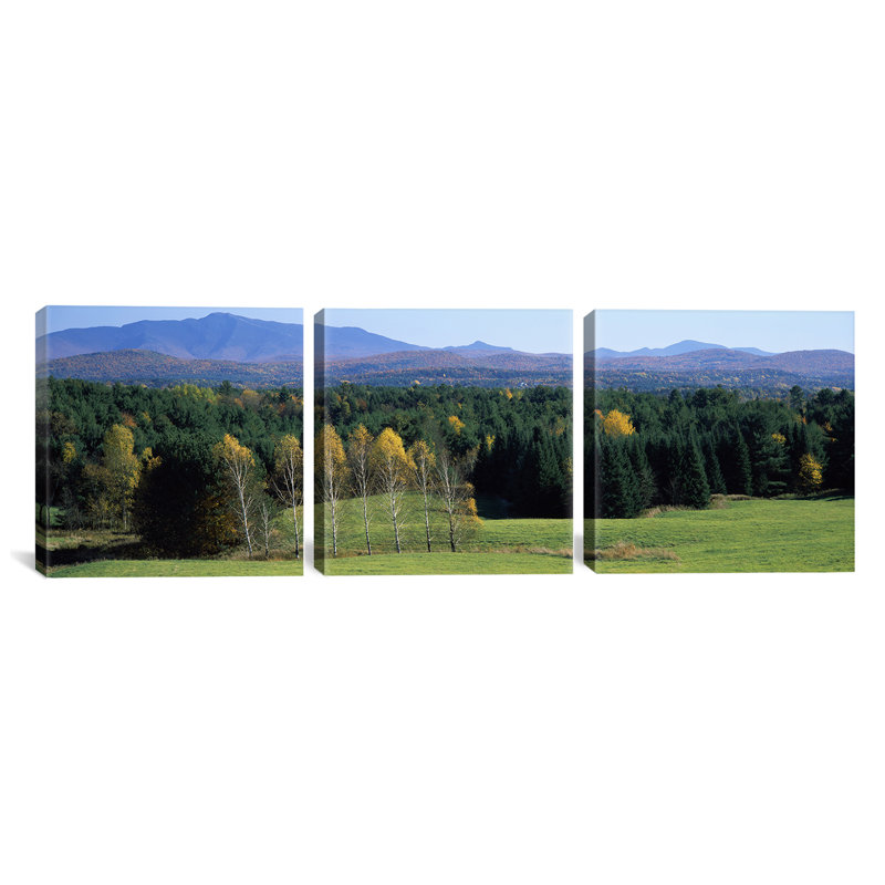« tree », reproduction de photo sur toile, H 16 po x l 48 po x P 1,5 po