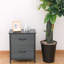Commode 2 rangements