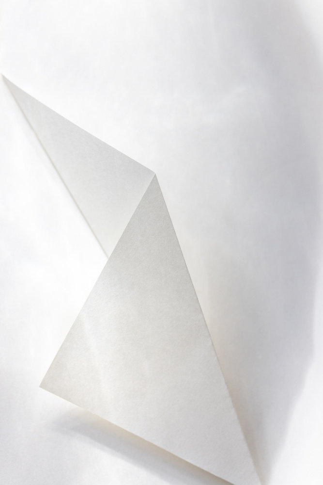 Ivy Bronx Paper Studies 18 | Wayfair.co.uk