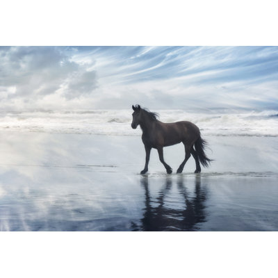" Horse Motion VI " by PHBurchett