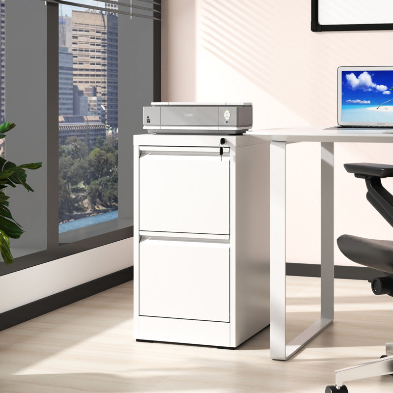 Armoire de bureau en métal à 2 tiroirs avec serrure, style vertical, matériau de qualité, grand espace de rangement, montage facile, armoire à dossiers verrouillable, construction verticale, pour bureau/maison