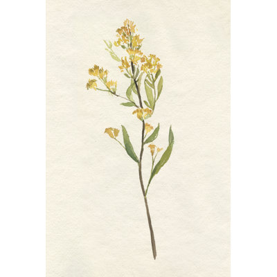 Jaune délicat II