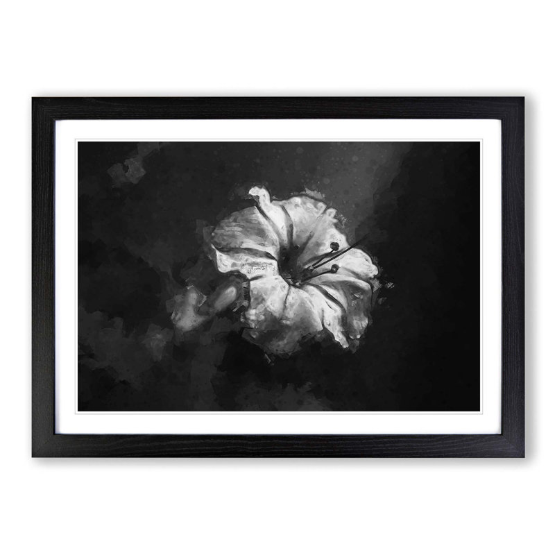 Geranium Flower in Abstract - Picture Frame Graphic Art Print, 27cm H x 36cm W x 2cm D, Black Framed