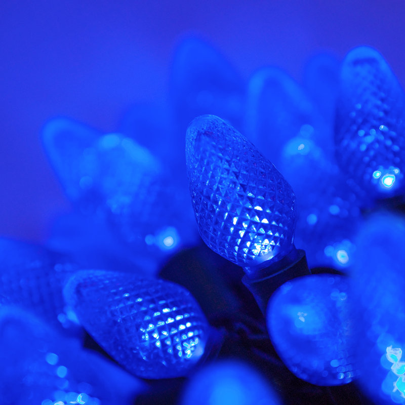 C7 Christmas 25-Light LED String Light, Blue