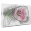 Pink Tulip - Wrapped Canvas-56638635