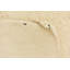 Tapis ivoire Orpheus