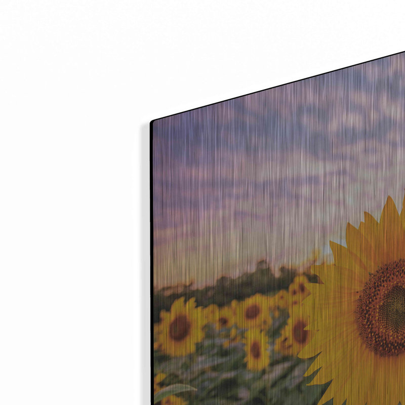 «Sunflower Sunset» par Donnie Quillen