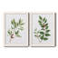 «Winter Botanical I», ensemble de 2 reproductions d'art-521697219-521697231-521697265