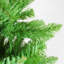 Arbre de Noël 6 pi avec crayon-796485300