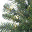 Lighted Artificial Fir Christmas Tree-1149875866