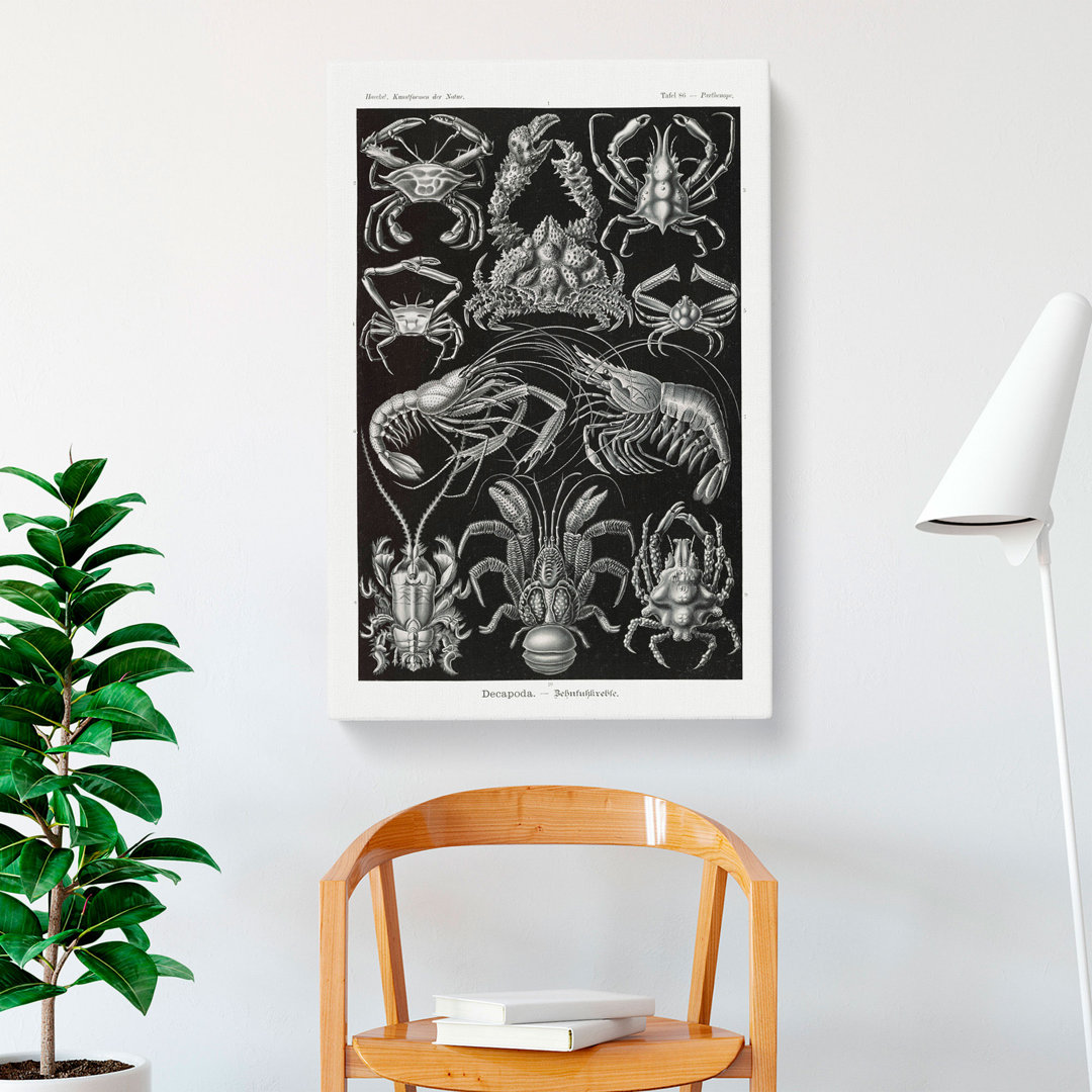 Crustaceans by Ernst Haeckel - Wrapped Canvas Painting