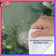 Housses de couette blanches et roses jaunes-123421386