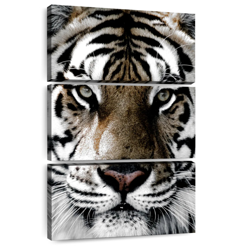 Brampt White Tiger Gaze, 50" H x 32" W